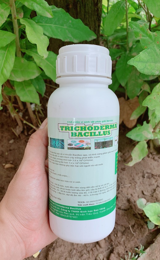 [FreeShip] Chế phẩm Trichoderma Bacillus - Chai 500ml