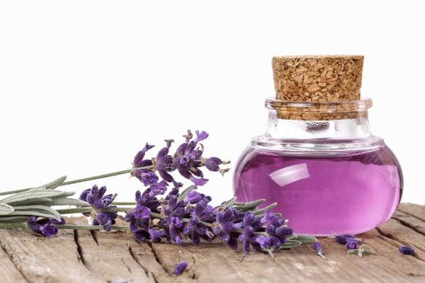 [HCM]TINH DẦU OẢI HƯƠNG SALA OILS