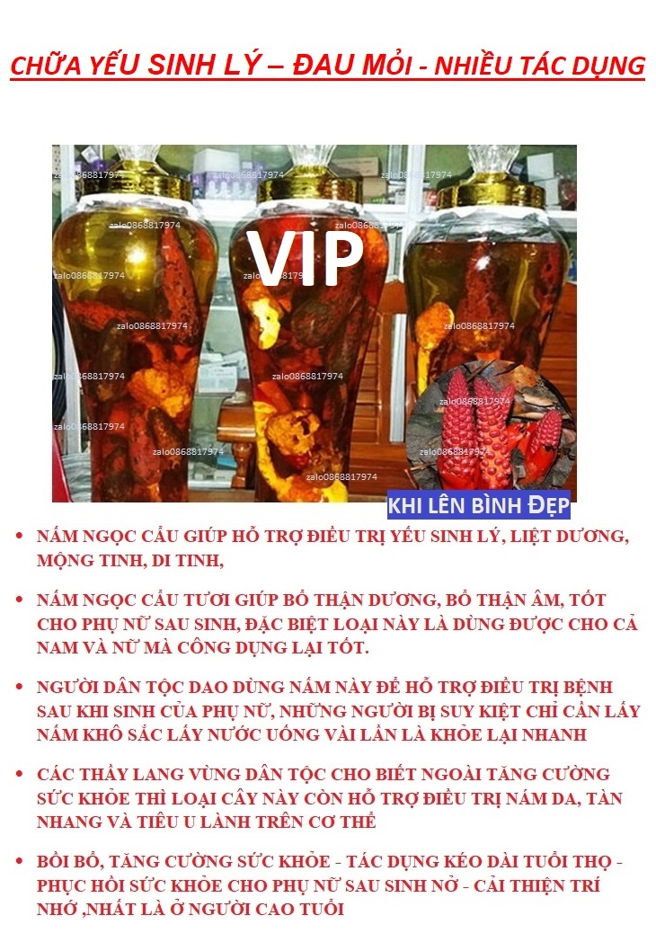 5kg NẤM NGỌC CẨU TUYẾT SƠN+KHẮC PHỤC-SINH_LÍ+BỔ THẬN TRÁNG DƯƠNG+TRÁNG ÂM NAM+NỮ_TĂNG TRÍ-NHỚ-BỒI BỔ-SỨC KHỎE NNCK 2.2