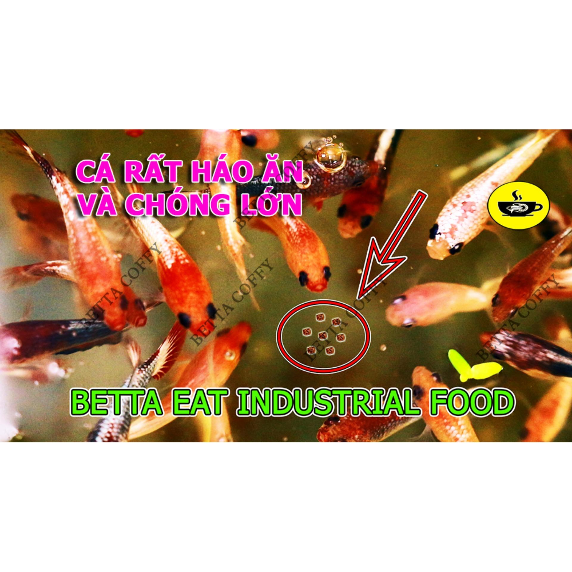 [Hoàn Tiền 15%] Cám BECO 1 2 - Thức ăn cho cá lớn 🐠 BETTA COFFY