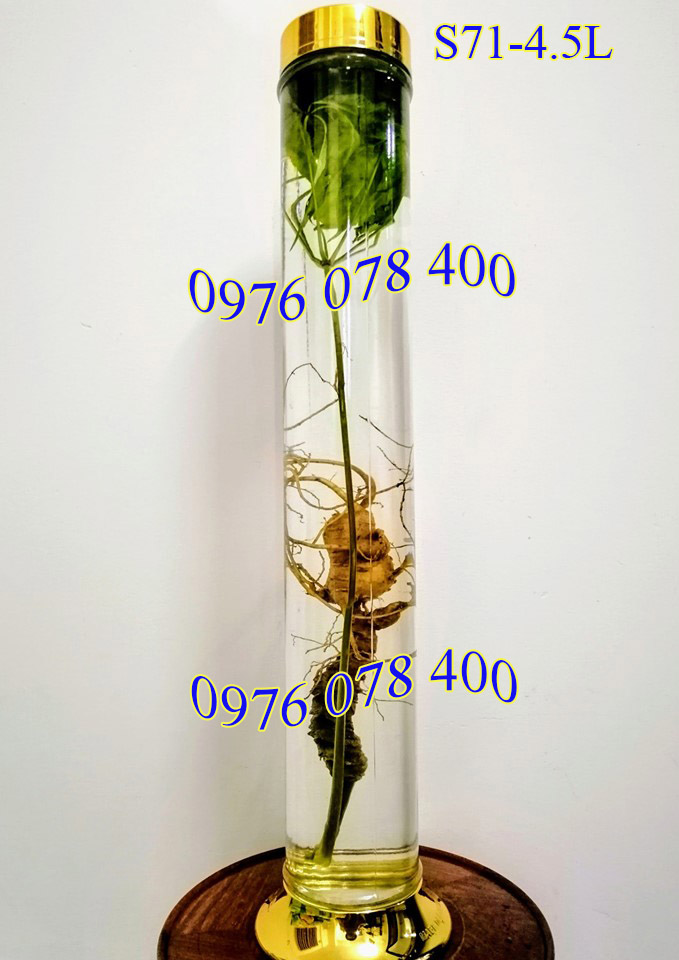 Bình Ngâm Rượu Hàn Quốc 4.5 Lít (Bình Trụ)