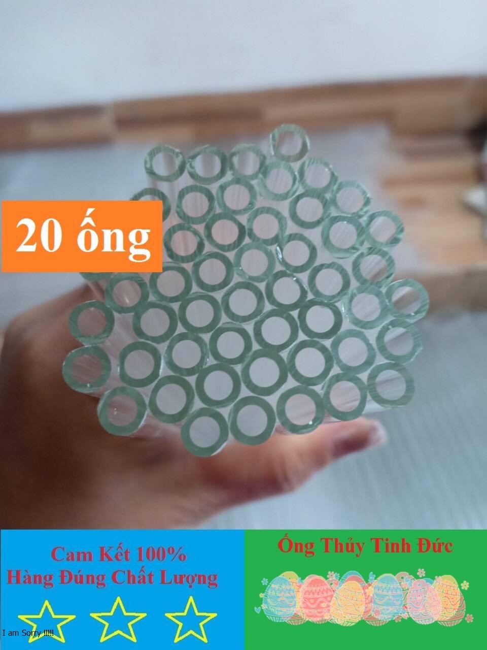 ống thuỷ tinh (50 ống dài 20cm)