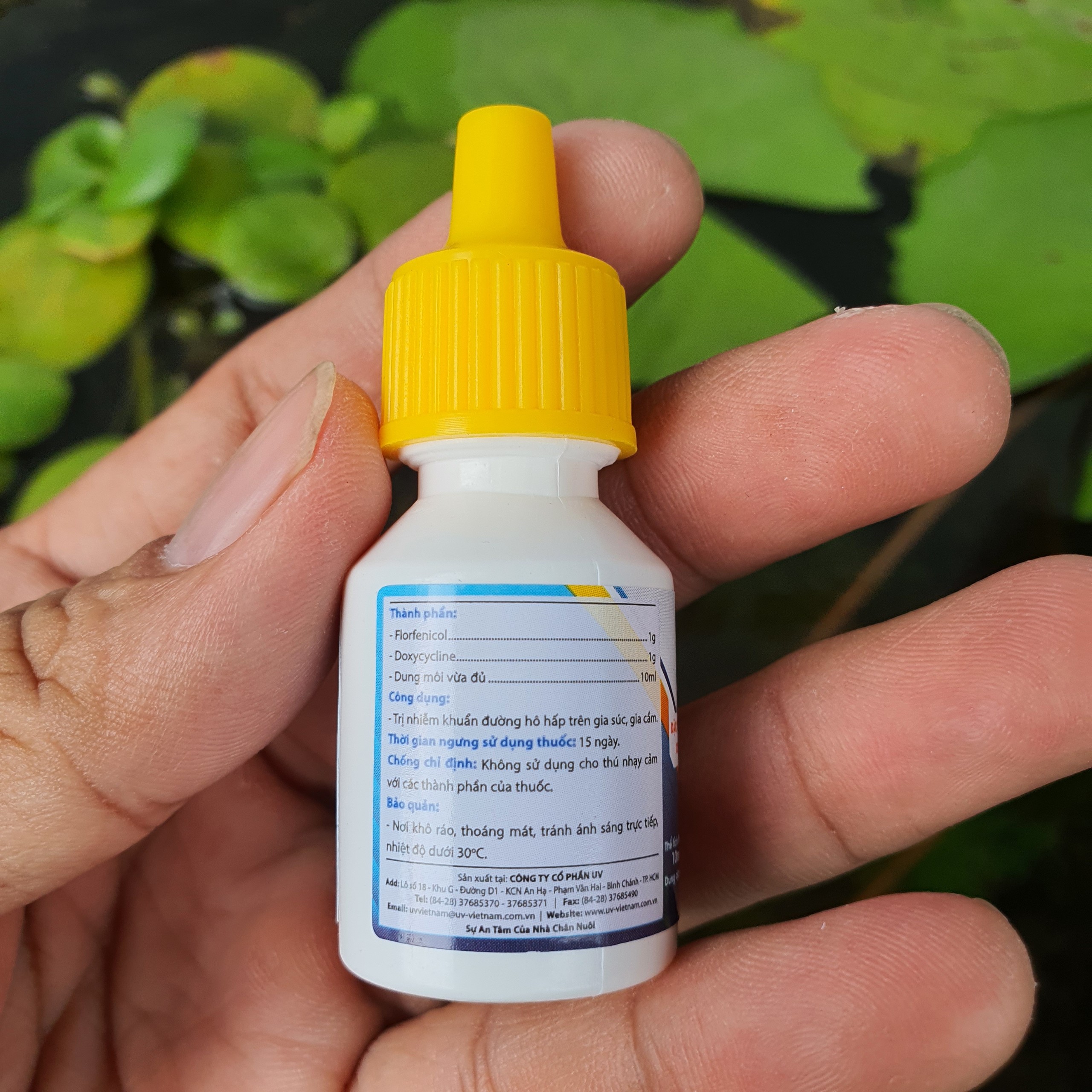 FLOSAL - D đặc tr ị khò khè thuốc gà đá 1 LỌ 10ML