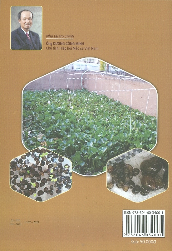 Cách nuôi Ốc nhồi (Ốc bươu)