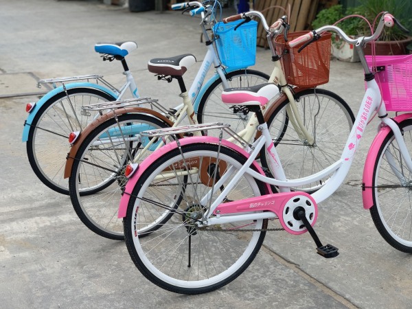Mua [HCM]Xe đạp mini Hahoo thời trang hàng xuất khẩu Nhật