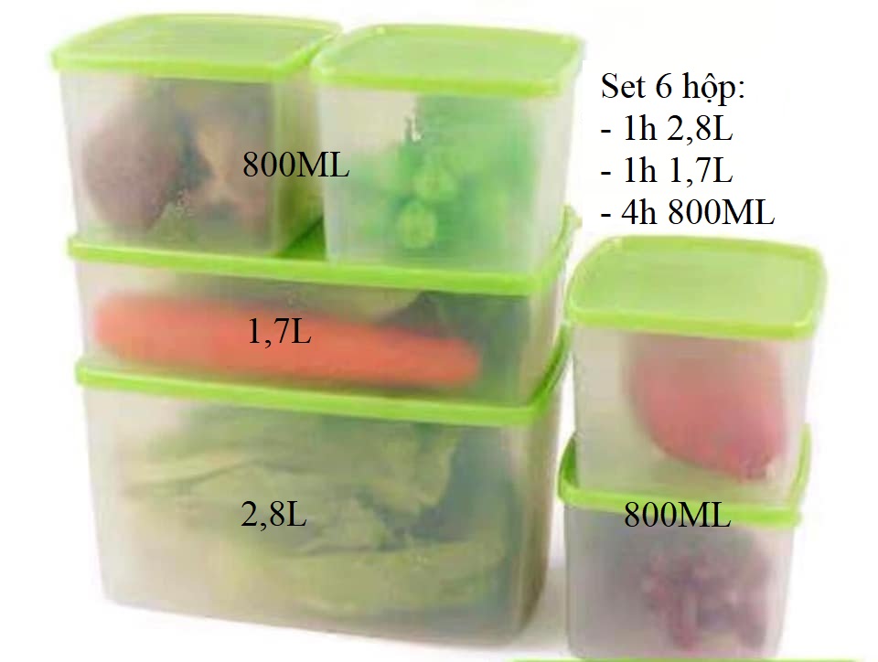 SET 6 HỘP TUPPERWARE INDO TRỮ ĐÔNG