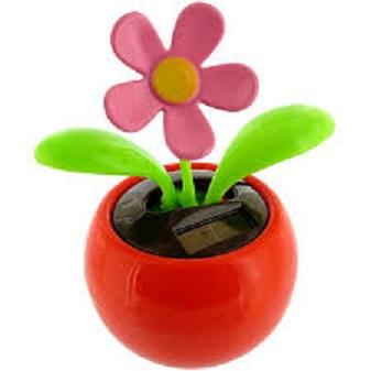 CHẬU CÂY HOA LÚC LẮC FLIP FLAP XÀI NĂNG LƯỢNG MẶT TRỜI