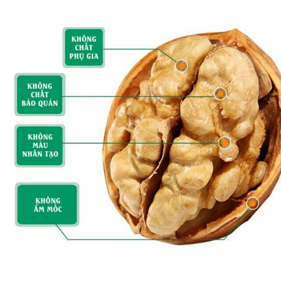 Combo 2kg quả óc chó đặc sản sapa quả to hàng luôn mới