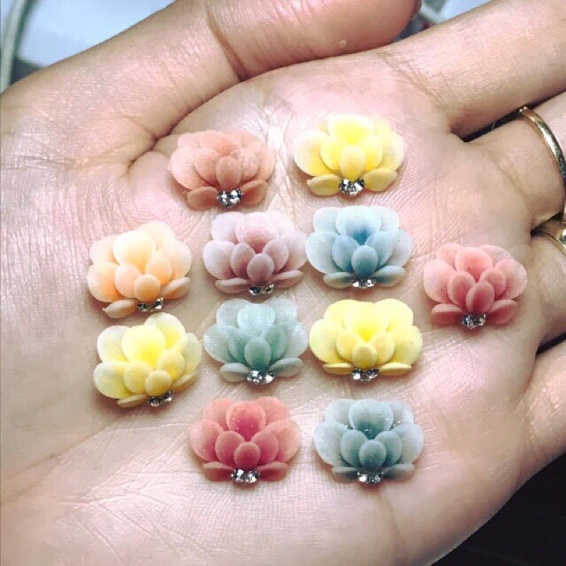 Cúc tầng (hoa bột đẹp )