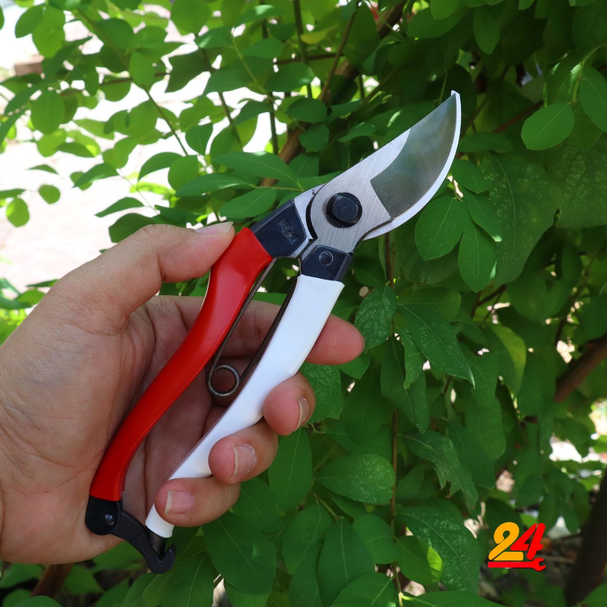 Kéo cắt cành nội địa nhật OKATSUNE [made in japan]