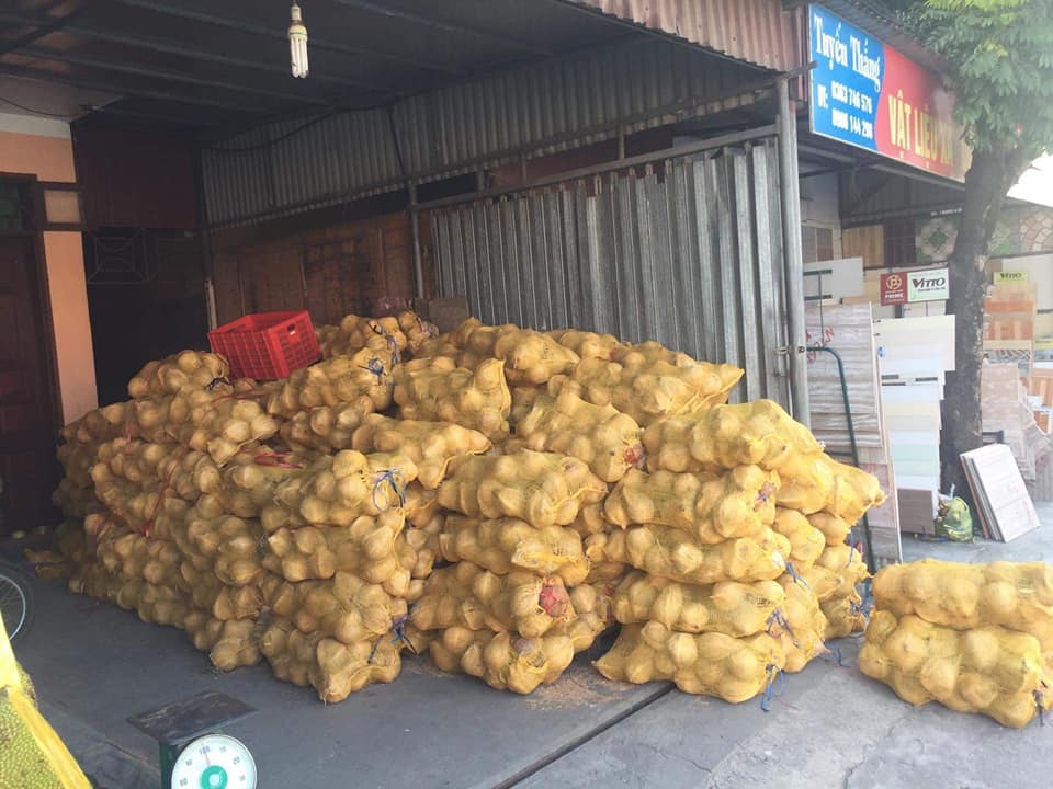 100ml tinh dầu dừa Bến Tre chuẩn nguyên chất
