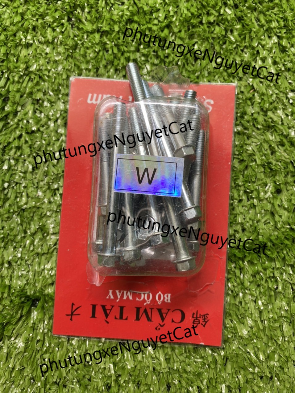 Bộ ốc máy dành cho xe Dream Wave
