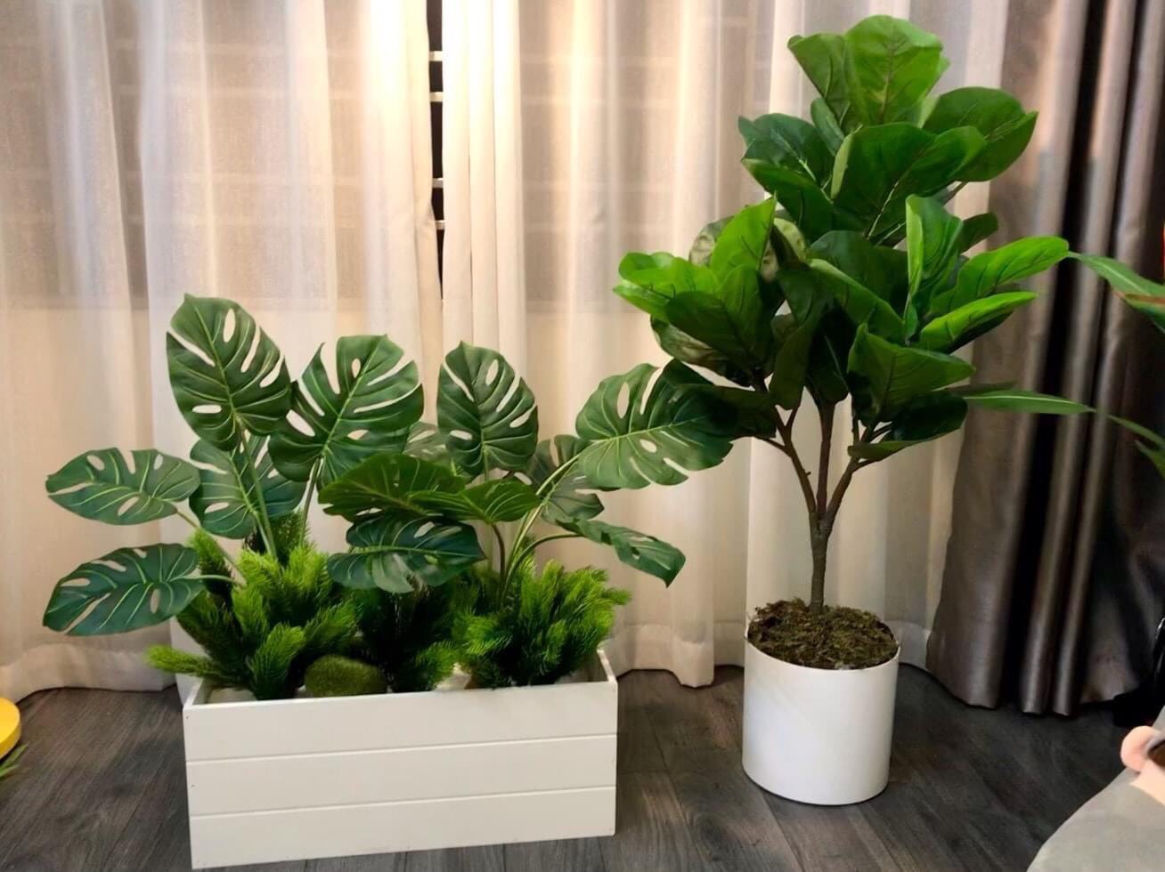 Eagle Tree Singapo imitation 3 tree branch to