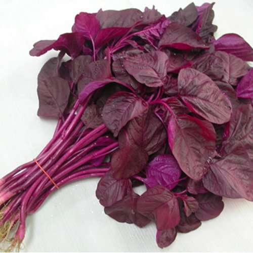 Hạt giống rau dền đỏ 20gr