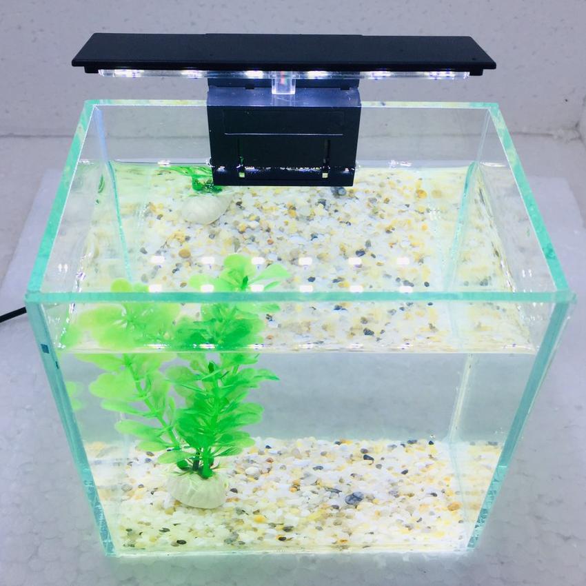 Đèn led bể cá mini , hồ thủy sinh mini