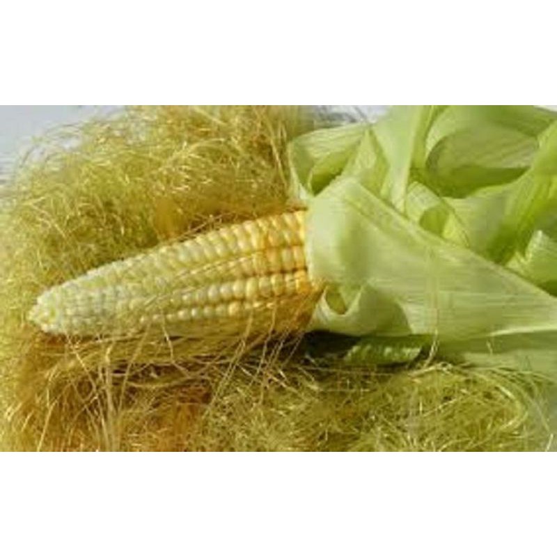 Râu bắp (Râu ngô) phơi khô 1 gói [100g]