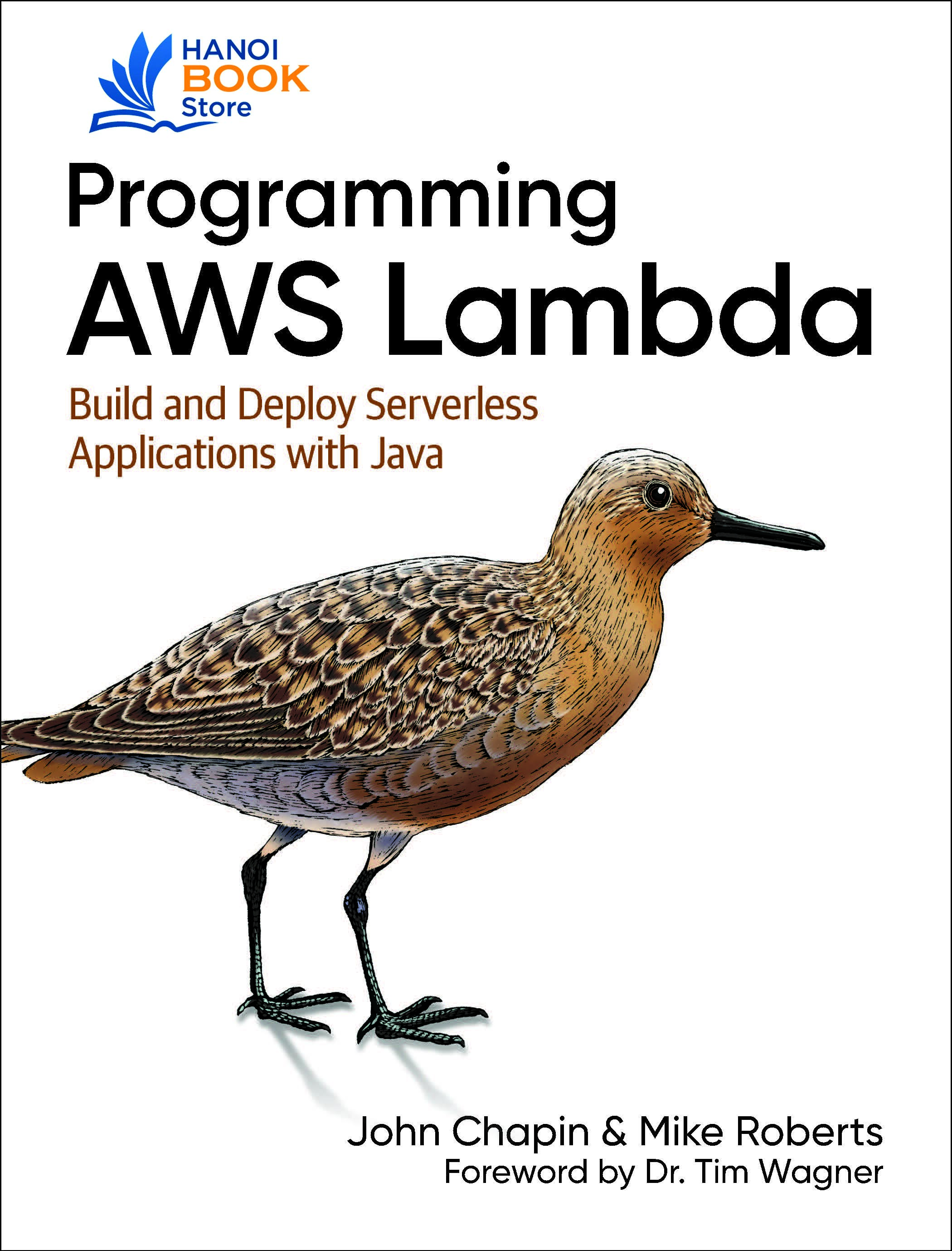 Sách Programming AWS Lambda Build and Deploy Serverless Applications with Java