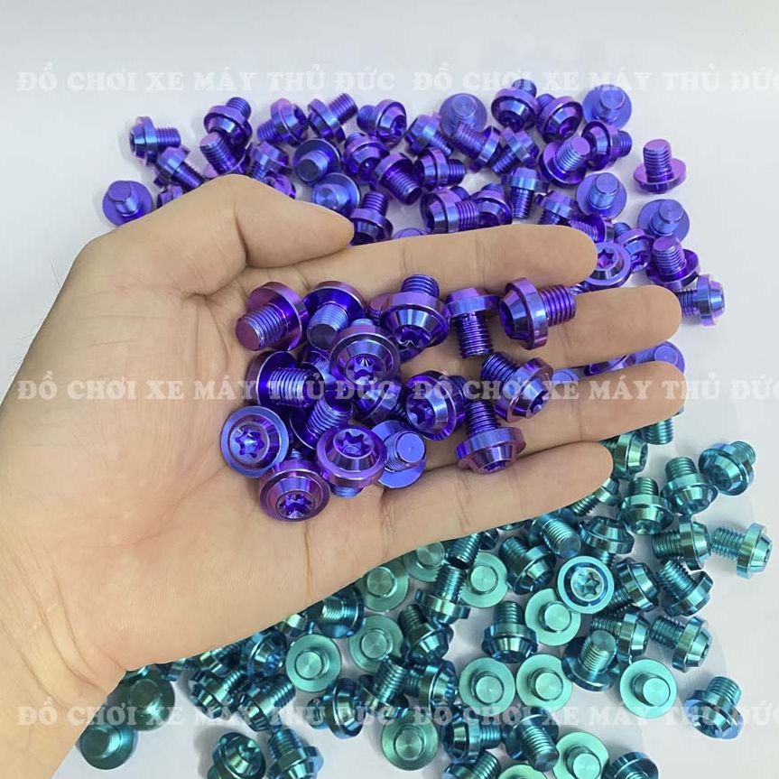 [HCM]Ốc Chân Gương Titan Gr5