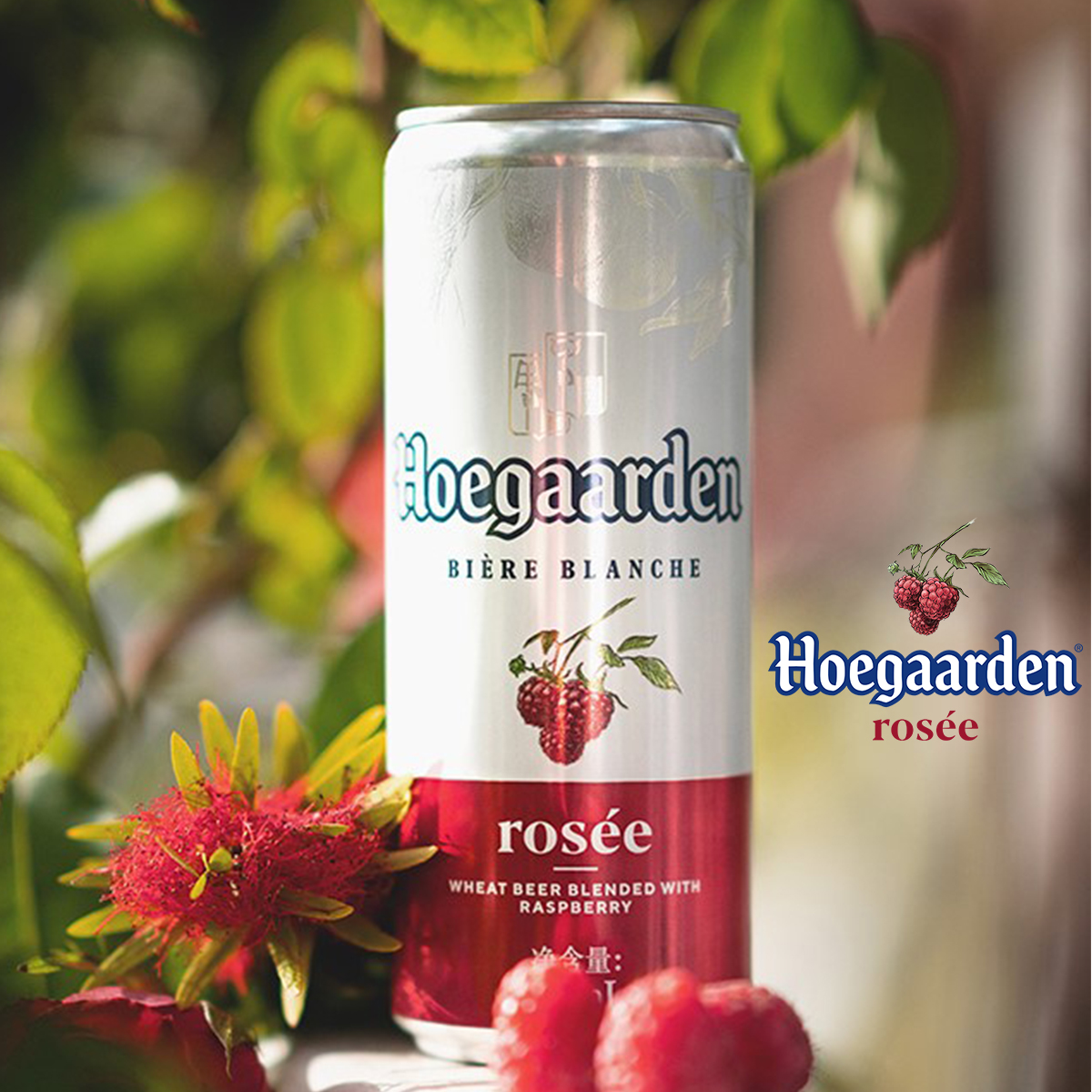 Lốc 6 lon Hoegaarden Rosee (330ml/lon) [Date 12/2024]