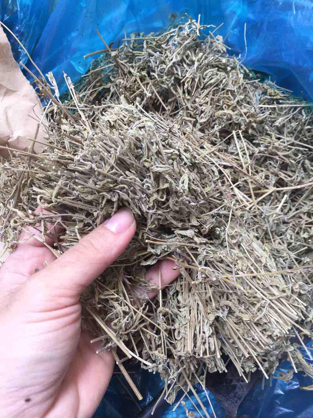 MUỐI THẢO DƯỢC