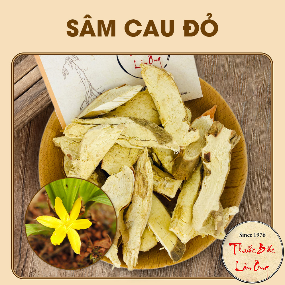 Sâm cau 1kg, sâm cau đỏ khô, thái lát, sạch, thơm, hỗ trợ bổ can thận, mạnh gân cốt, tăng cường sinh lý
