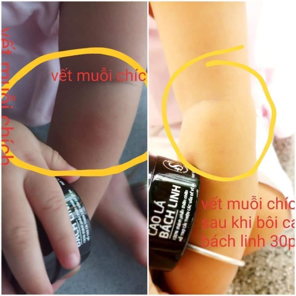 CAO LÁ BÁCH LINH SAM NATURAL