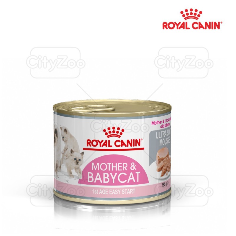 Pate Mèo Mẹ Và Mèo Con Royal Canin Mother & Babycat 195G