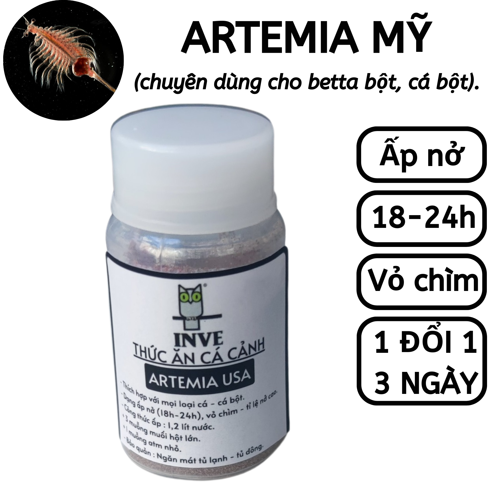 Eggs Artemia American aspect ratio high hatching (potentiometer retail)-feed Betta fish powder, fish powder | hingaostore.