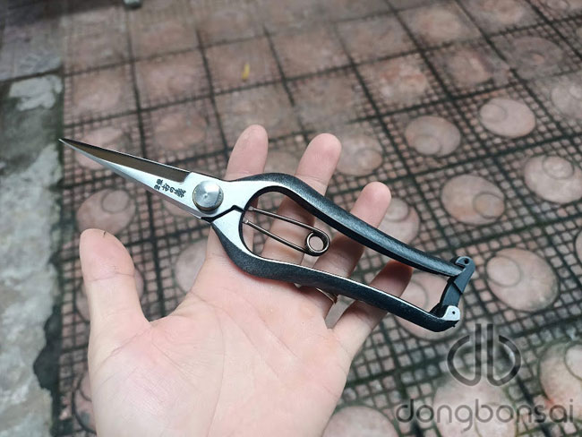 Kéo tỉa Onoyoshi No.TJ035