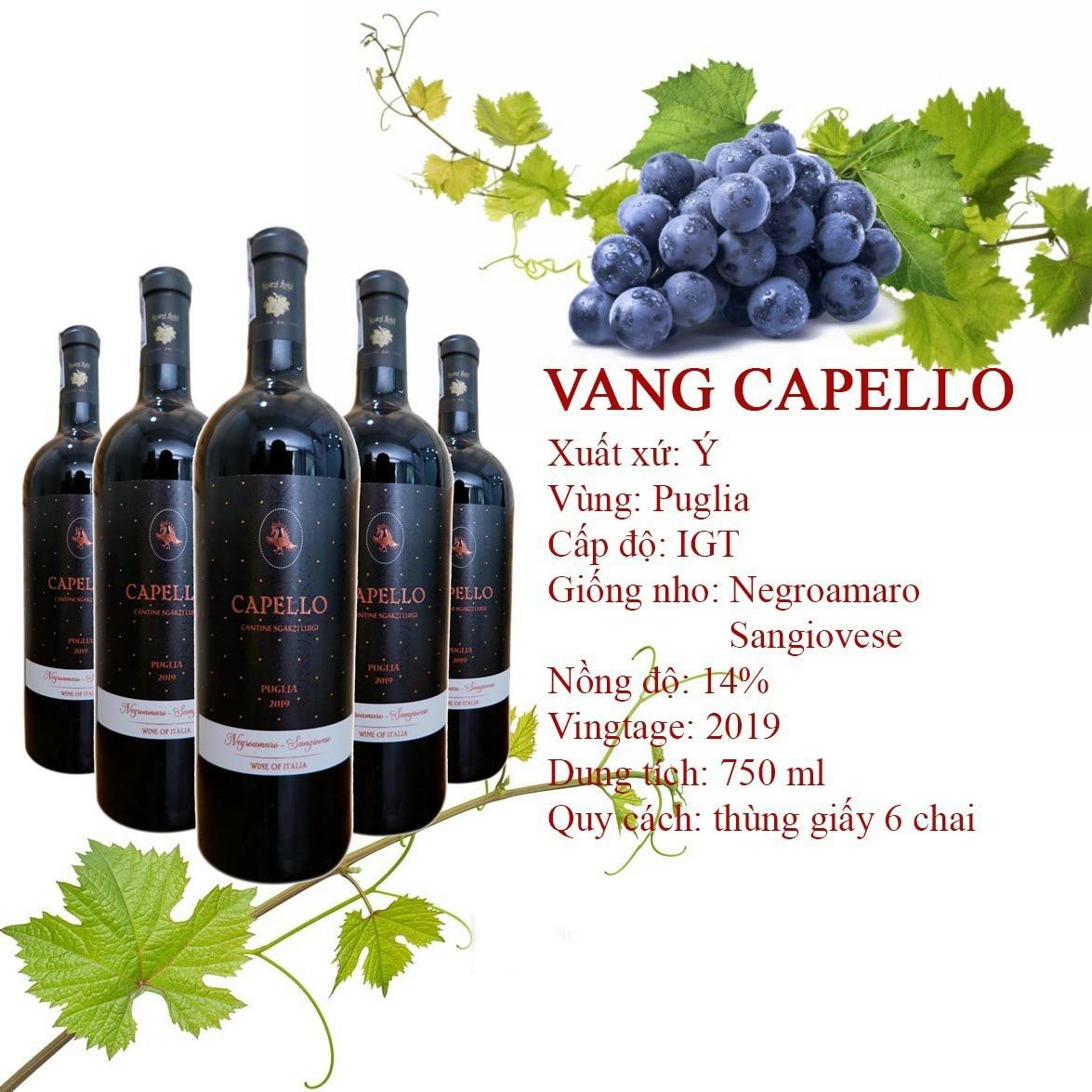 Vang Ý Capello Rosso nhập khẩu chính hãng