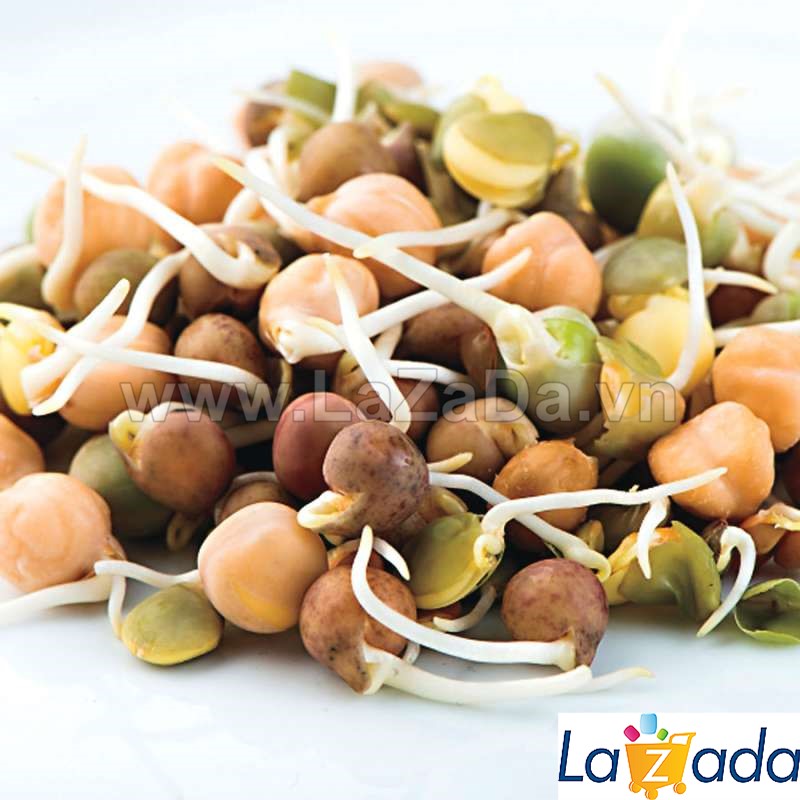 20Gr Hạt Giống Rau Mầm Mix Đủ Loại (B2.402| W3*W63*M038)
