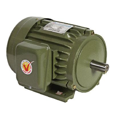 Motor vỏ gang chân đế Hồng Ký HKM334