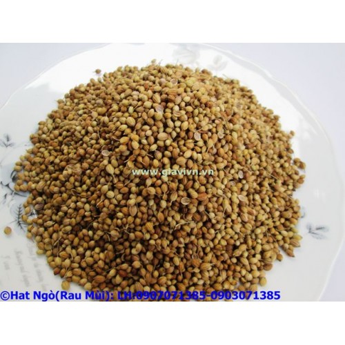 Hạt Ngò Rí Sạch 500gram