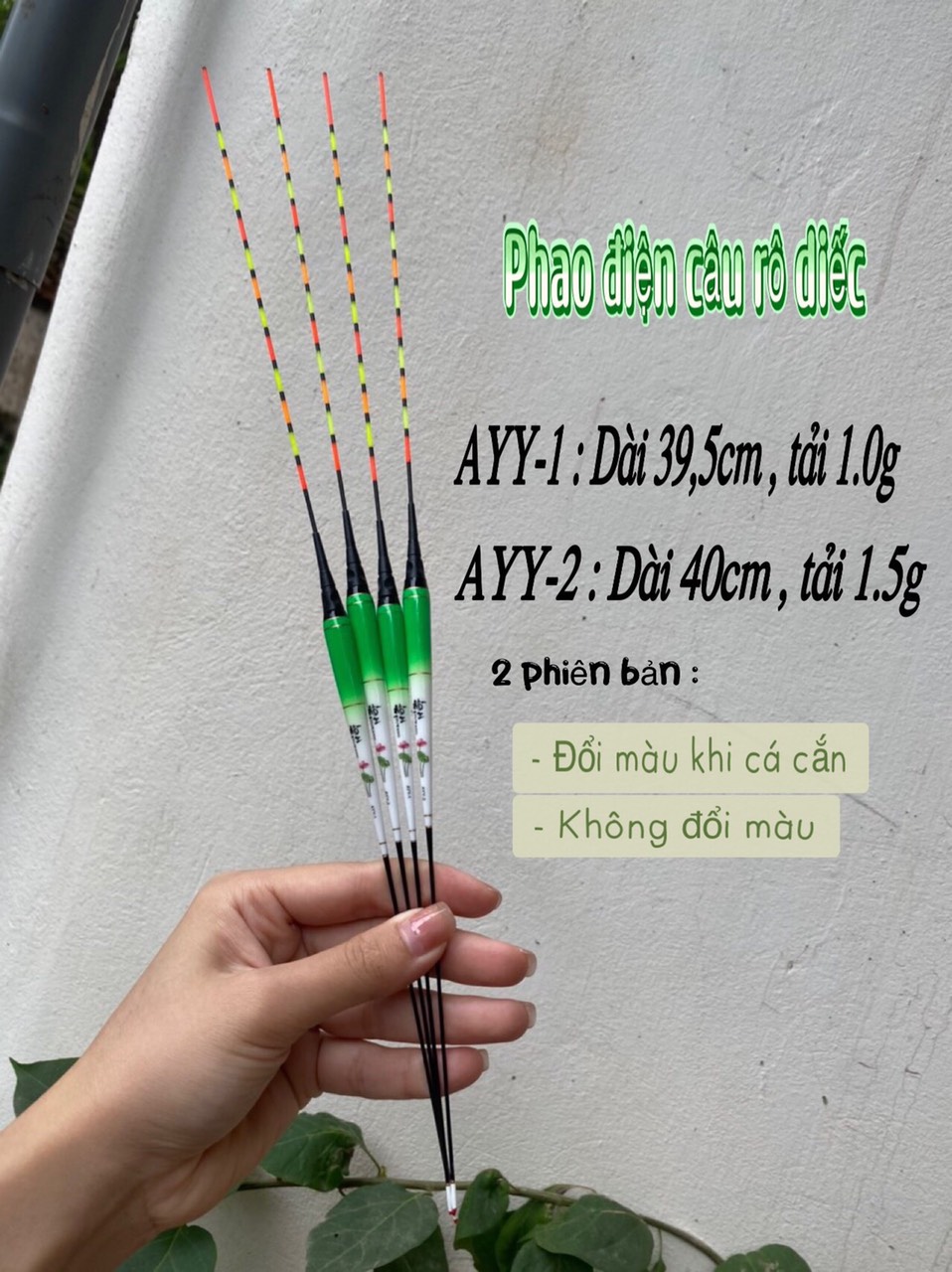 Phao Câu Ngày Đêm AYY Rô Diếc Chép