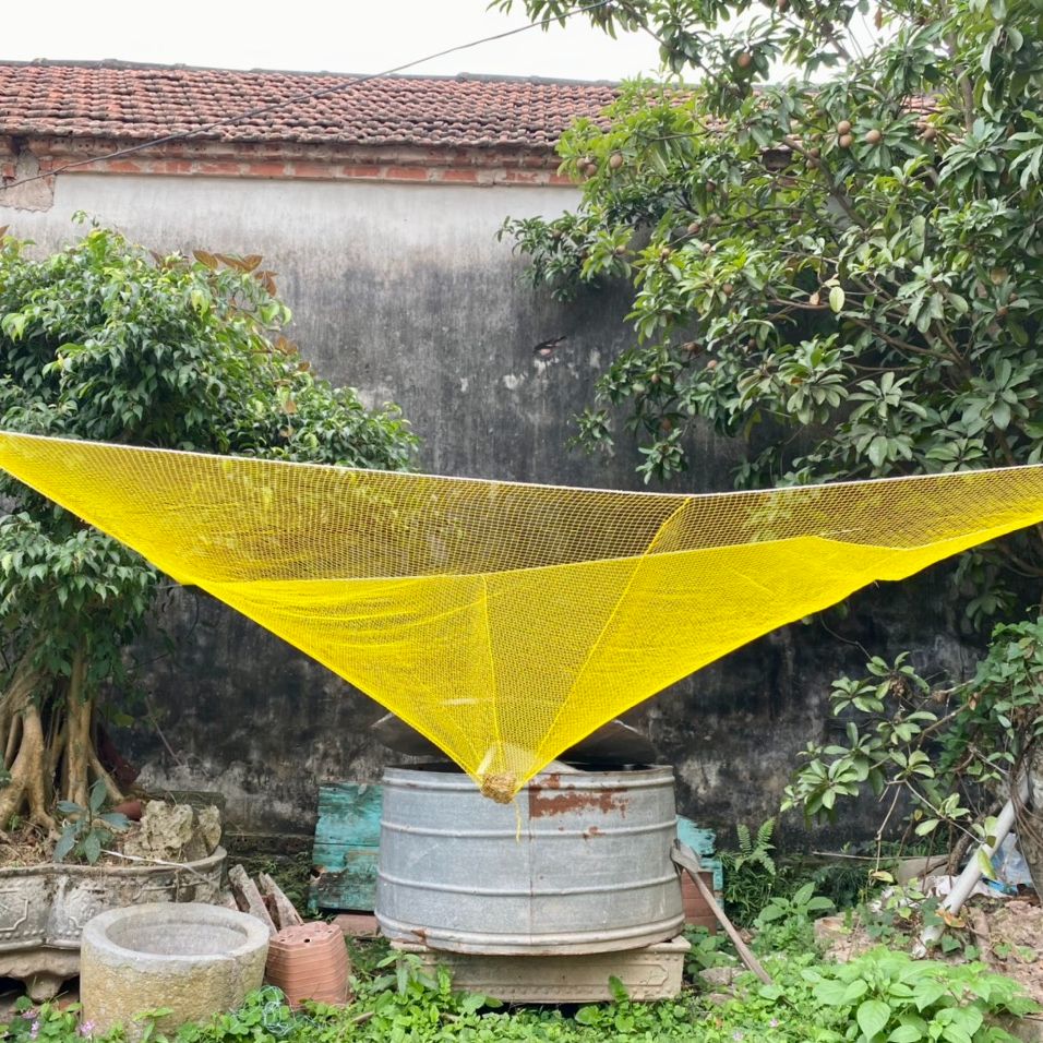 Lưới bắt cá tôm tép nhỏ mắt mau màu vàng (cạnh 2m)