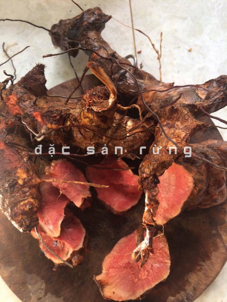 Củ Khúc Khắc Tươi 1kg ( Thổ Phục Linh ) - ĐSR