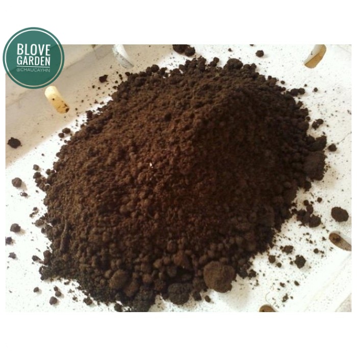 1 kg phân trùn quế Sfarm Pb01 TRỒNG CÂY