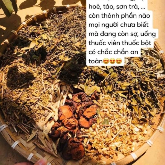 Trà lá nam giảm cân Giảo Sơn Cúc - Tặng kèm Cọ Trang điểm siêu mềm mịn