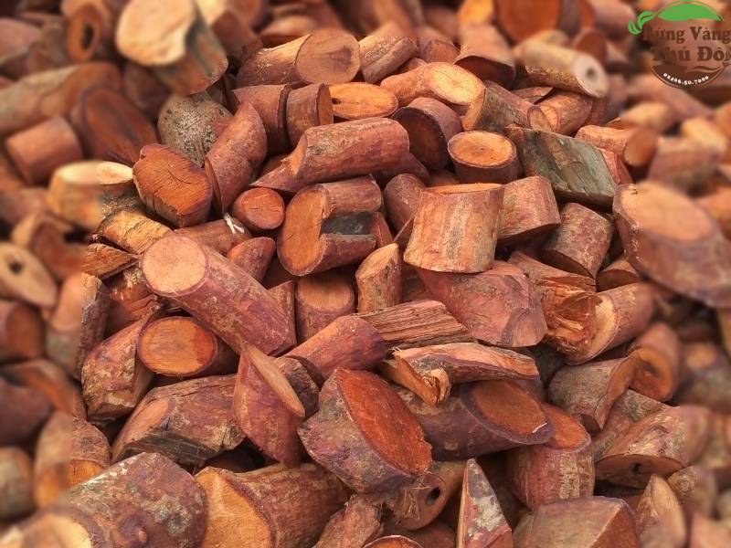 1Kg Rễ cây Mú Từn Khô chuẩn (Hỗ trợ sinh lý cực nhạy)