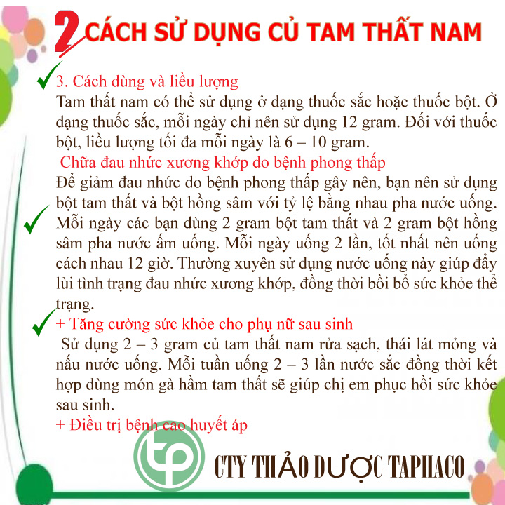 Củ tam thất nam 100g - Dược Tấn Phát - Hàng sạch thơm cao cấp