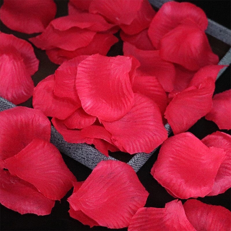 100 cánh hoa hồng lụa❤️trang trí phòng cưới