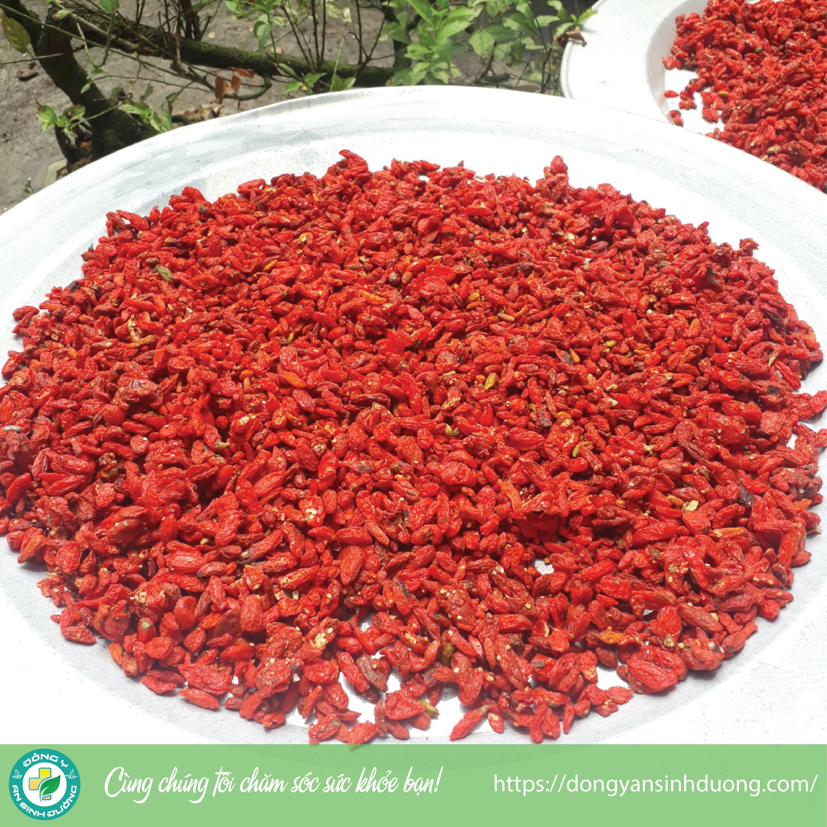 Kỷ tử Ninh Hạ đẹp túi [1kg]