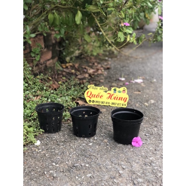 Chậu trồng lan Đen phi 18cm/ 21cm/ 23cm
