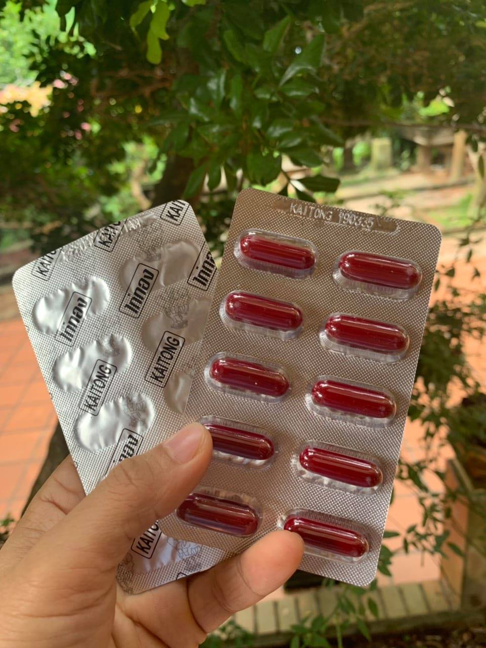 Kích Lực trước đá Kaitong