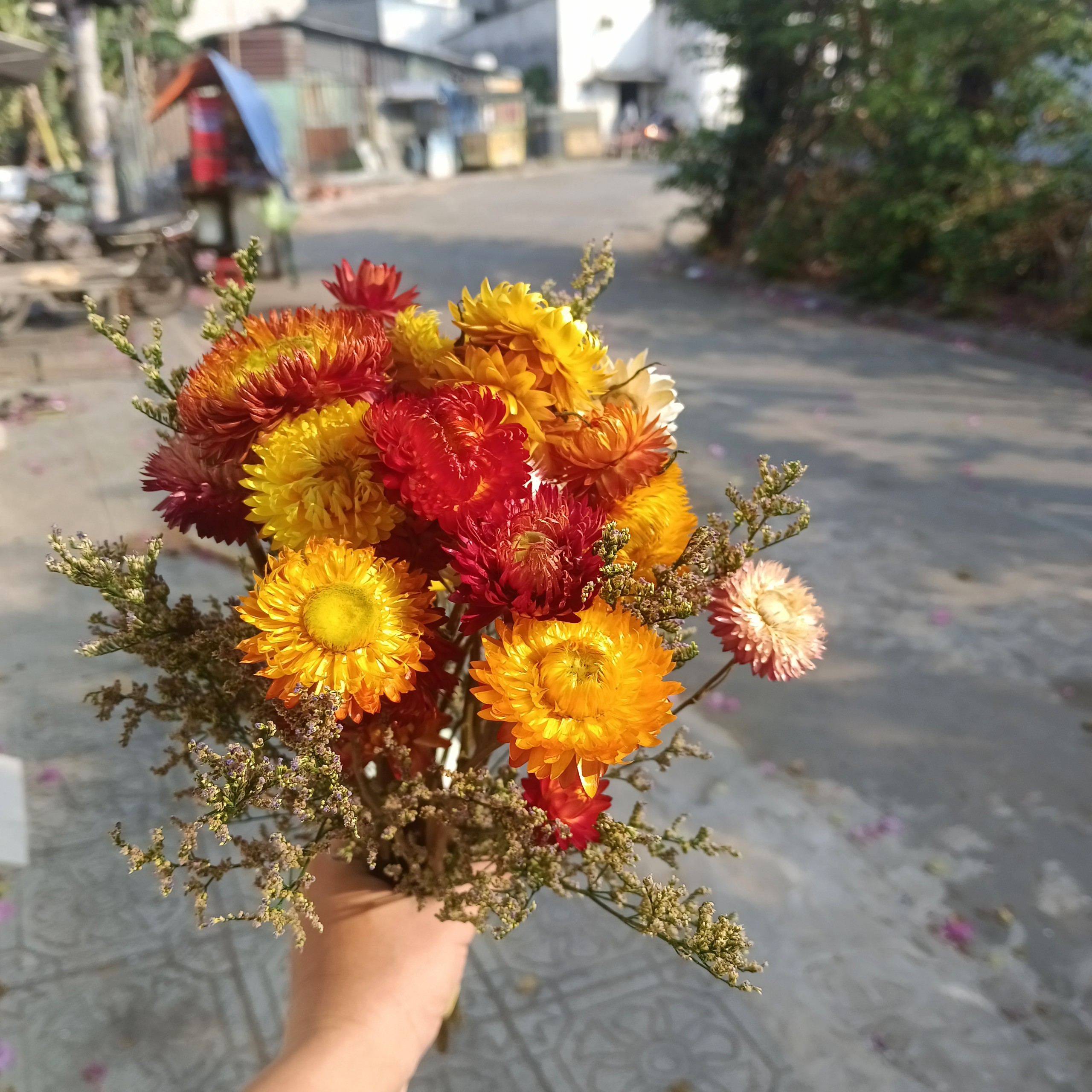 hoa khô - bó hoa cúc bất tử khô - 20 bông