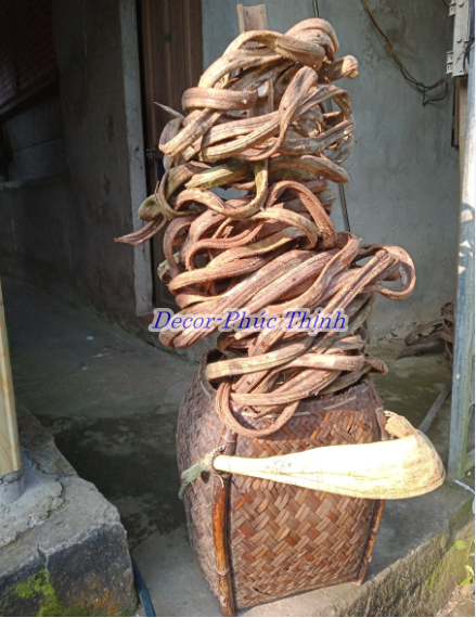 Dây rừng trang trí