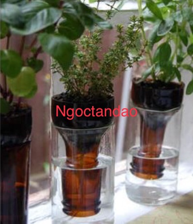 Chai thuỷ tinh tái chế