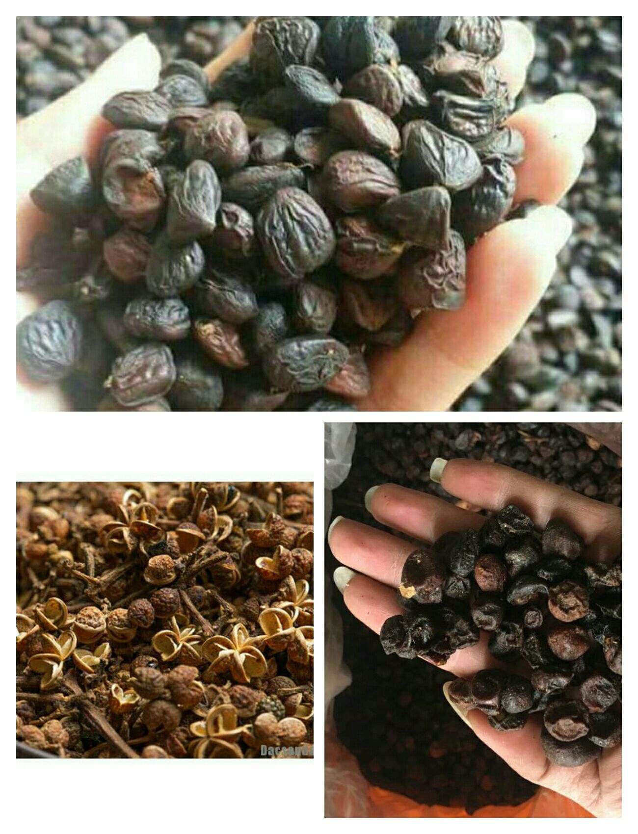 Combo 3 thứ 100g hạt mắc khén + 100g mắc mật + 5 hạt dổi nếp