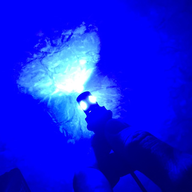 ĐÈN LED XI NHAN DEMI 6 TIM CAO CẤP SIÊU SÁNG( Giá 1 cái)