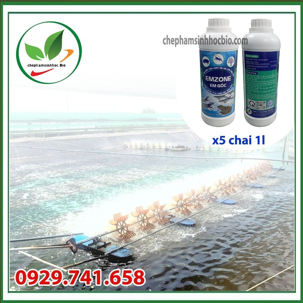 Chế phẩm sinh học EM gốc - Emzone. Can 5l